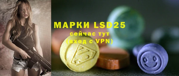 прущие грибы Нязепетровск
