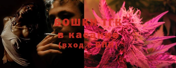 прущие грибы Нязепетровск
